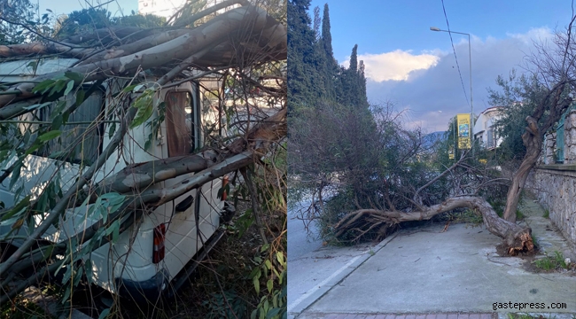 İzmir'de, Çatılar uçtu, ağaçlar devrildi, iskeleler hasar gördü!