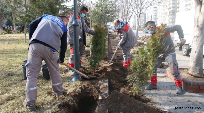 Kayseri Melikgazi'de Parklara Ağaç ve Süs Bitkisi Dikimi Başladı!