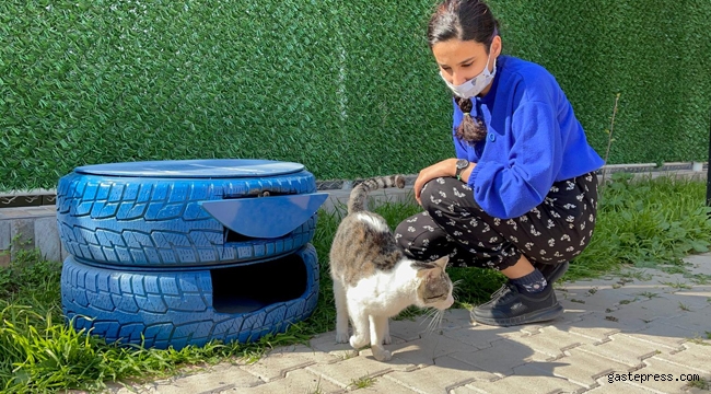 Adana'da Seyhan Belediyesinden Sokak Kedileri için Barınak-Suluk-Mama!