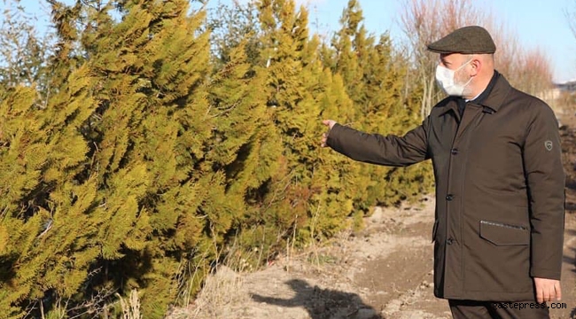 Ahmet Başkan, Kayseri'de Yemyeşil Bir Kocasinan İnşa Ediyoruz!