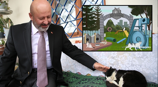 Kayseri Kocasinan Belediyesi'nden Kedi Kasabası!