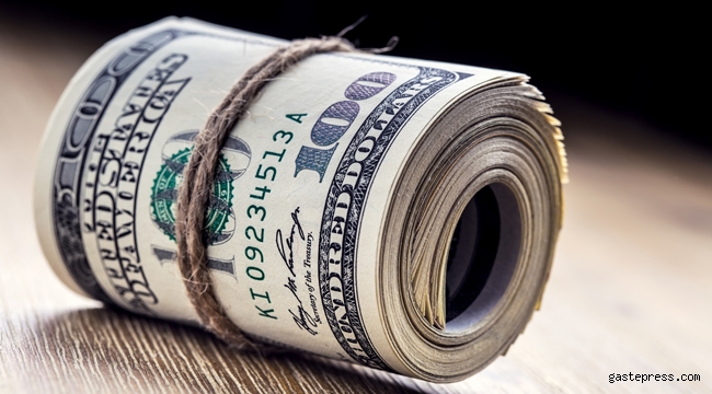 Şubat ayının kazananı TL, kaybedeni ise dolar oldu!