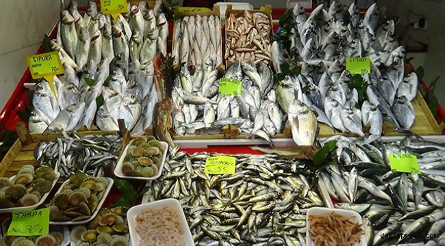 Av yasağına rağmen Çanakkale'de balık tezgahları doldu!