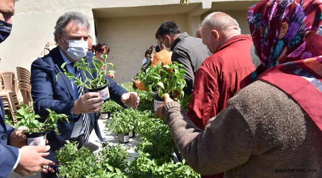 İzmir Bornova’da hedef 100 bin fidan!