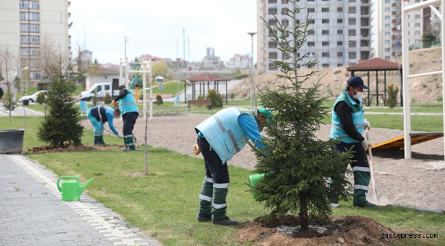 Kayseri Kocasinan Belediyesi, Yeşil Hamle ile Geleceğe Nefes Oluyor!