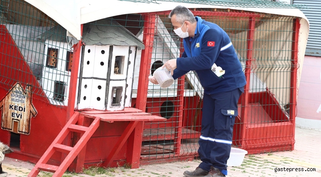 Can Dostlarımız Tam Kapanmada da Konya Büyükşehir’e Emanet!