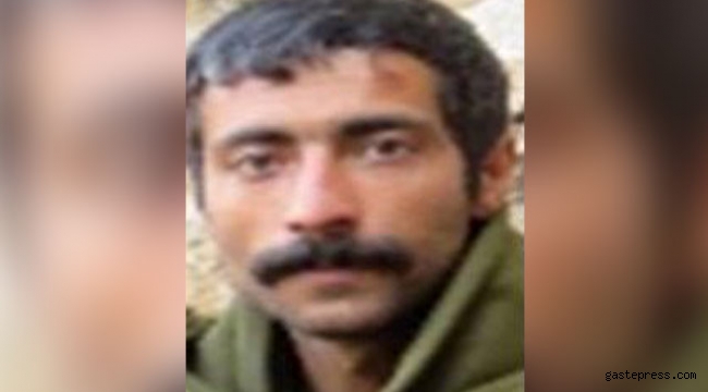Mardin'de etkisiz hale getirilen 7 teröristten biri 'Gri' kategoride çıktı!