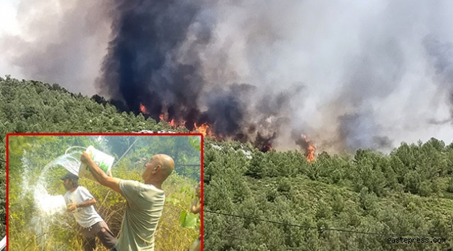 Kaş'ta orman yangını çıktı
