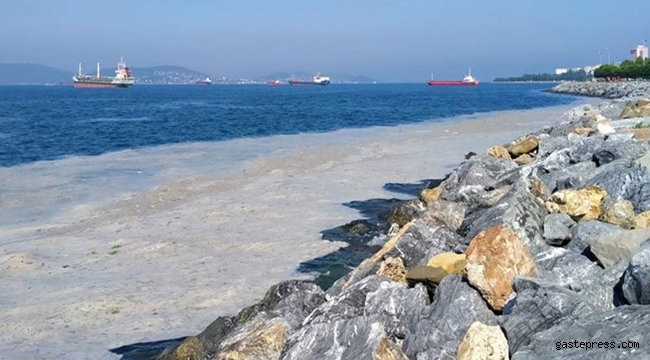 Müsilaj sorunu için Meclis Araştırma Komisyonu kuruldu!