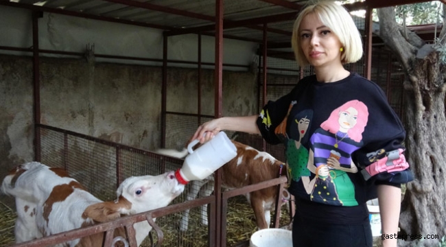 Spikerliği bıraktı, 3 yıl önce besi çiftliği kurup süt üretimine başladı!