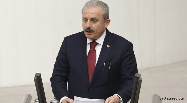 TBMM Başkanı Mustafa Şentop, Bakan Soylu'dan '10 bin dolar' iddiası için bilgi istedi!
