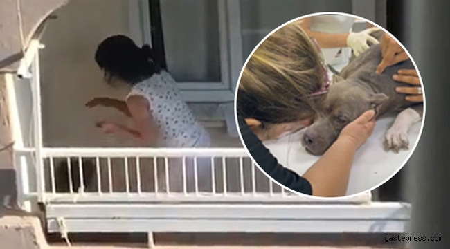 Adana'da Köpeğe balkonda dayağa 11 bin 467 TL ceza verildi!