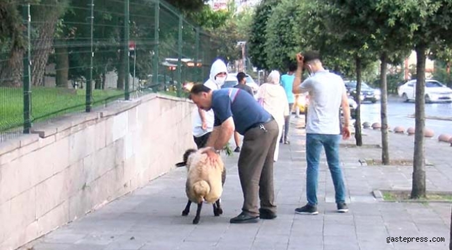 İnat etti, 3.5 saat bir adım bile attıramadılar!