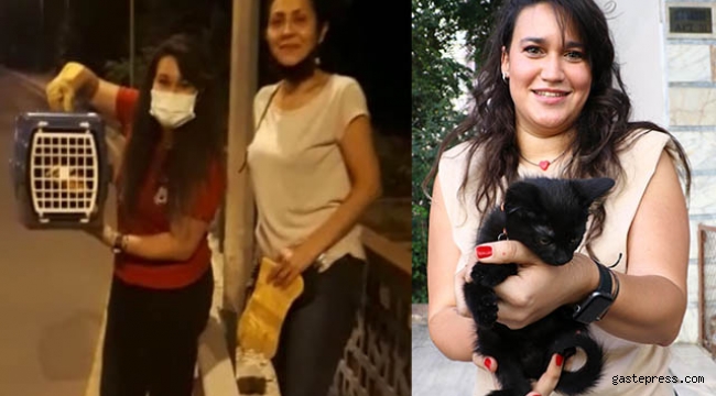 Köprüde mahsur kalan kediyi canını tehlikeye atarak kurtardı!