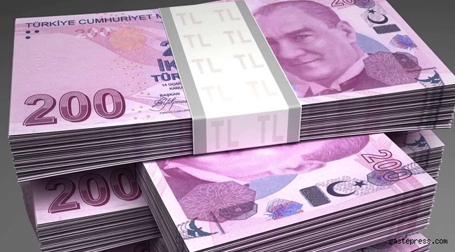 Merkez Bankası yeni banknotları tedavüle sürüyor!