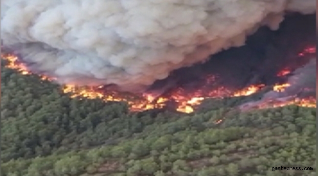Şimdide Marmaris'te korkutan orman yangını!