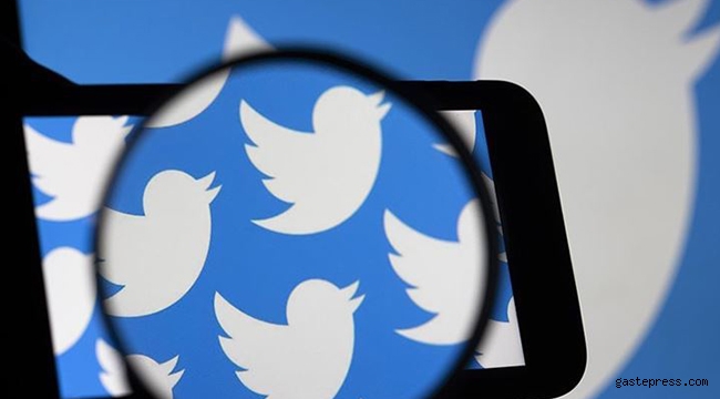 Twitter'da mavi tik krizi: Hesapların tamamı Türk!