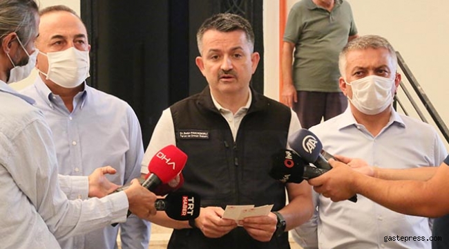 Yangınlar hakkında FLAŞ açıklama!