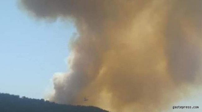 Adana'da orman yangını!