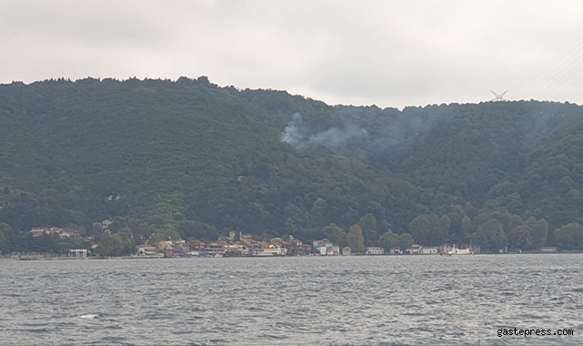 Beykoz'da orman yangını
