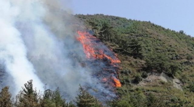 Karabük’te aynı köyde 2 gün sonra yeniden orman yangını!