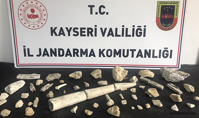 Kayseri’de fildişi fosili ve fosil kalıntıları ele geçirildi!