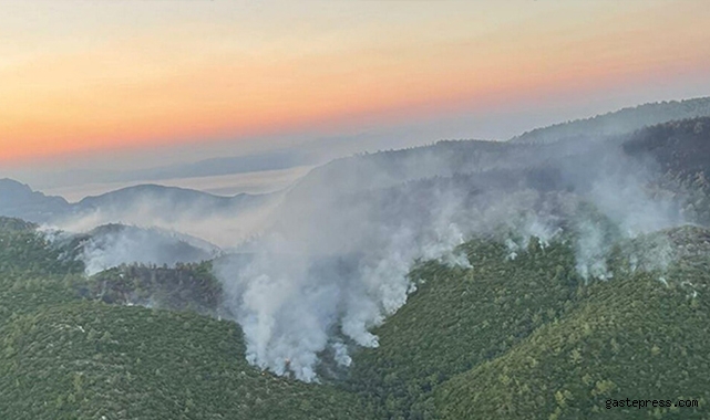 Milas'taki yangında 9'uncu gün!