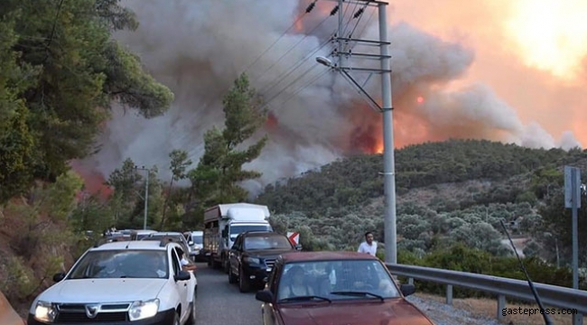 Muğla’da zeytinlik ve ormanlık alandaki yangınlara 6 tutuklama!
