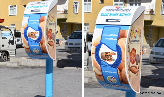 Kayseri Kocasinan Belediyesi Bayat Ekmekleri, Sokak Hayvanlarına Mama Yapıyor!