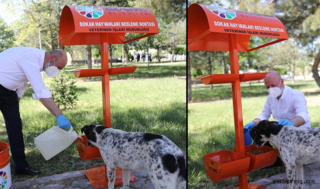 Kayseri Kocasinan'da Haftada 5 kez 70 farklı noktada besleme yapılıyor!