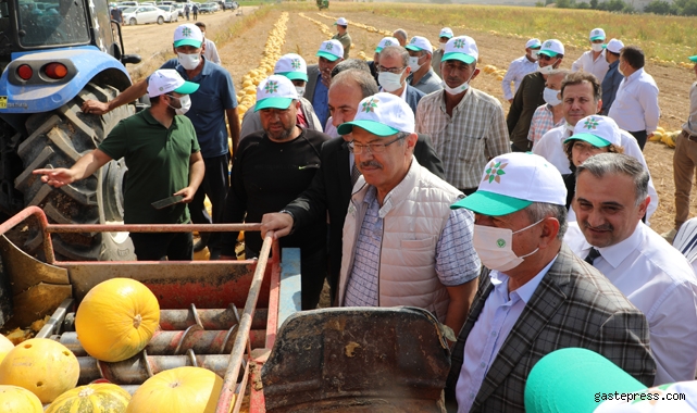 Türkiye'de Bir ilk! Kayseri Şeker Geliştirdi Kayarge ve Keykubat Yüz Güldürdü!
