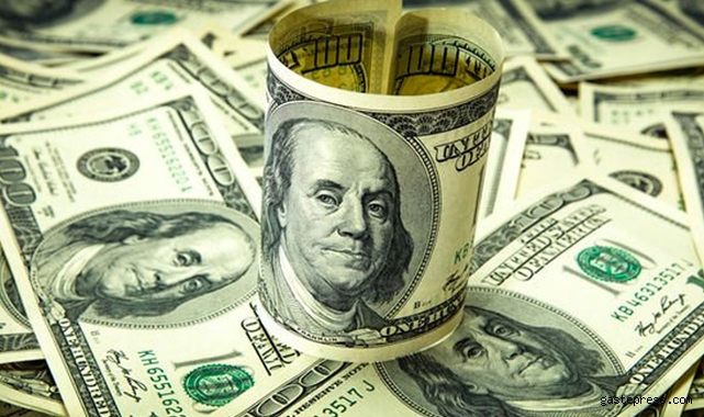 9 TL'yi aşan dolar tarihi zirvesini görerek yeni bir rekor kırdı!