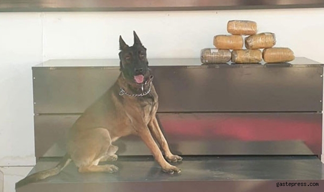 Ağrı'da 6 kilo metamfetamin maddesi ele geçirildi; 1 tutuklama!