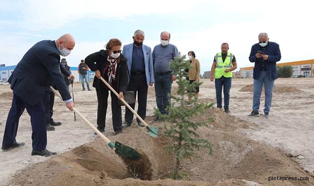 Daha Yeşil Kocasinan için alanlara sonbahar bakım!