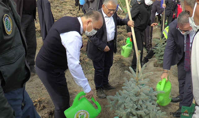 Kayseri'de 2 bin fidan toprakla buluştu!
