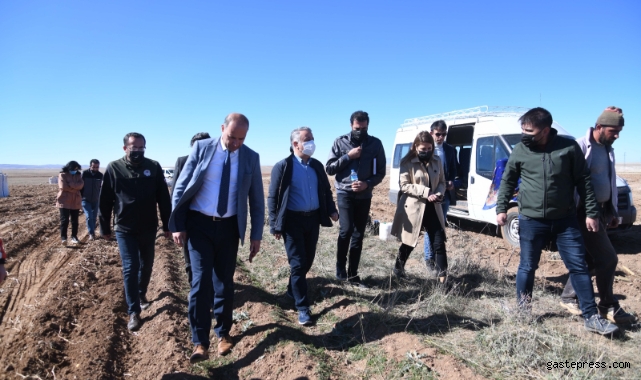 Kayseri'de 540 Bin Ton Patates Rekoltesi Bekleniyor!
