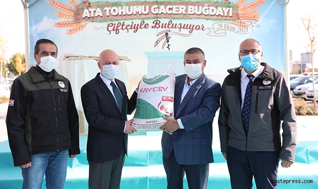Kayseri Kocasinan Belediyesi, çiftçilere ata tohumu gacer buğdayını dağıttı