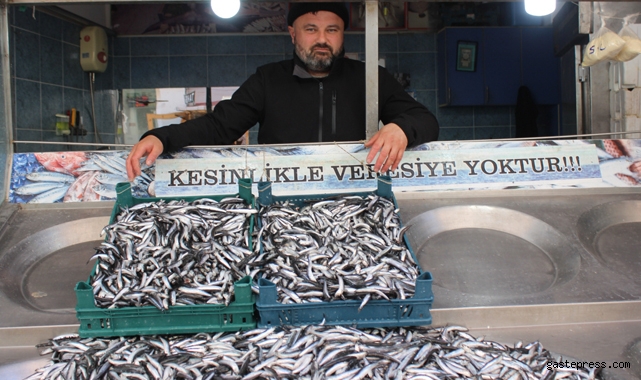 Palamut olmayınca ilgi hamsiye kaydı! İşte balık fiyatları...