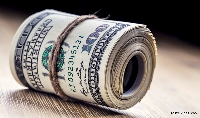 Bakan Elvan konuştu dolar ve euro fırladı!