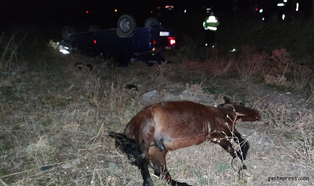 Başıboş ata çarpan otomobil takla attı: 1 ölü, 6 yaralı!