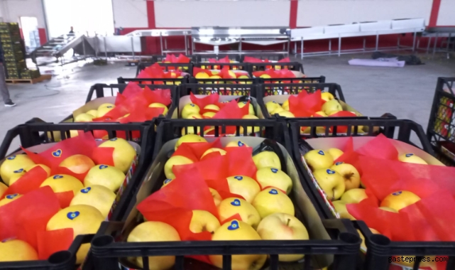 Kayseri Yeşilhisar'da yaş meyve sebze paketleme tesisi açıldı!