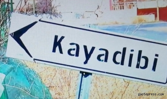 Kayseri Yeşilhisar Kayadibi köyünde ağaçtan düşen köylüler yaralandı!