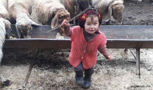 Küçük Müslüme'den acı haber geldi!