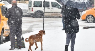Meteoroloji yarın Ankara'ya kar geliyor diyor!