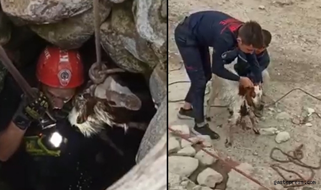 Su kuyusuna düşen keçi 4 saatlik çalışma sonrası kurtarıldı