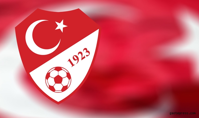 TFF, Burak Elmas ve Fatih Terim'i PFDK'ye sevk edildiğini açıkladı!