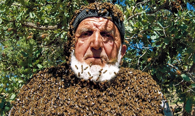 Üzerine 50 bin arı konuyor, maskesiz çalışıyor!