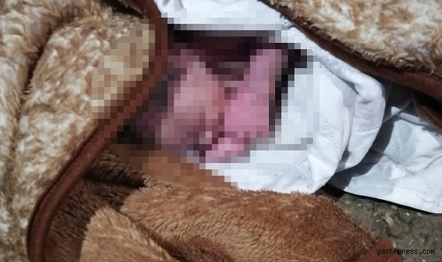 Bağcılar'da bahçede yeni doğmuş bebek bulundu!