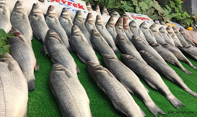 Balık Fiyatları Kur ve Zamlardan Etkilenmedi!