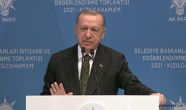 Cumhurbaşkanı Erdoğan'dan belediye başkanlarına çağrı: Sahipsiz hayvanlar için önlem alın!